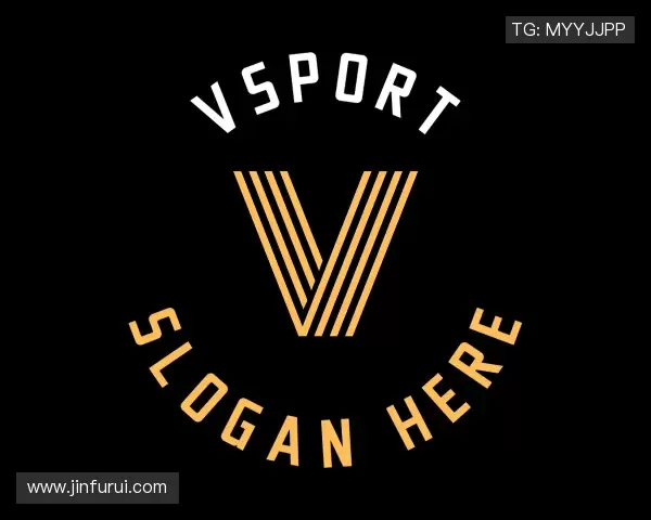 了解VSport